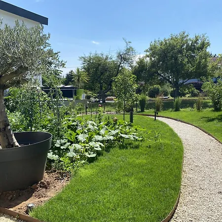 Le Clos Des Pommiers Fuji Uffholtz